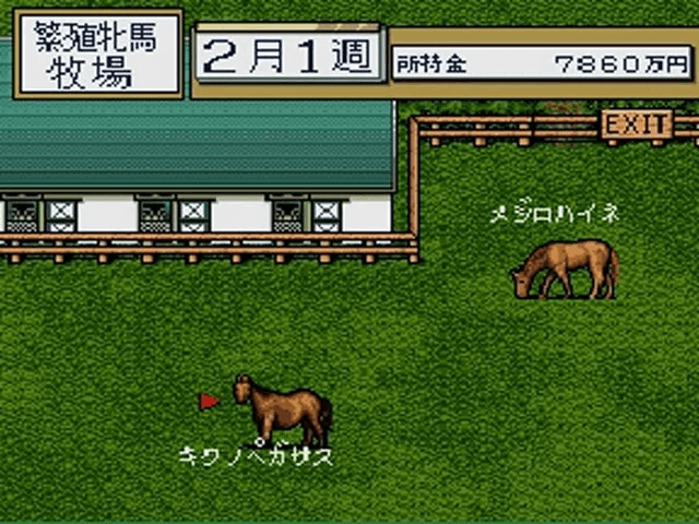 Thoroughbred Breeder screenshot 5 for Super Famicom